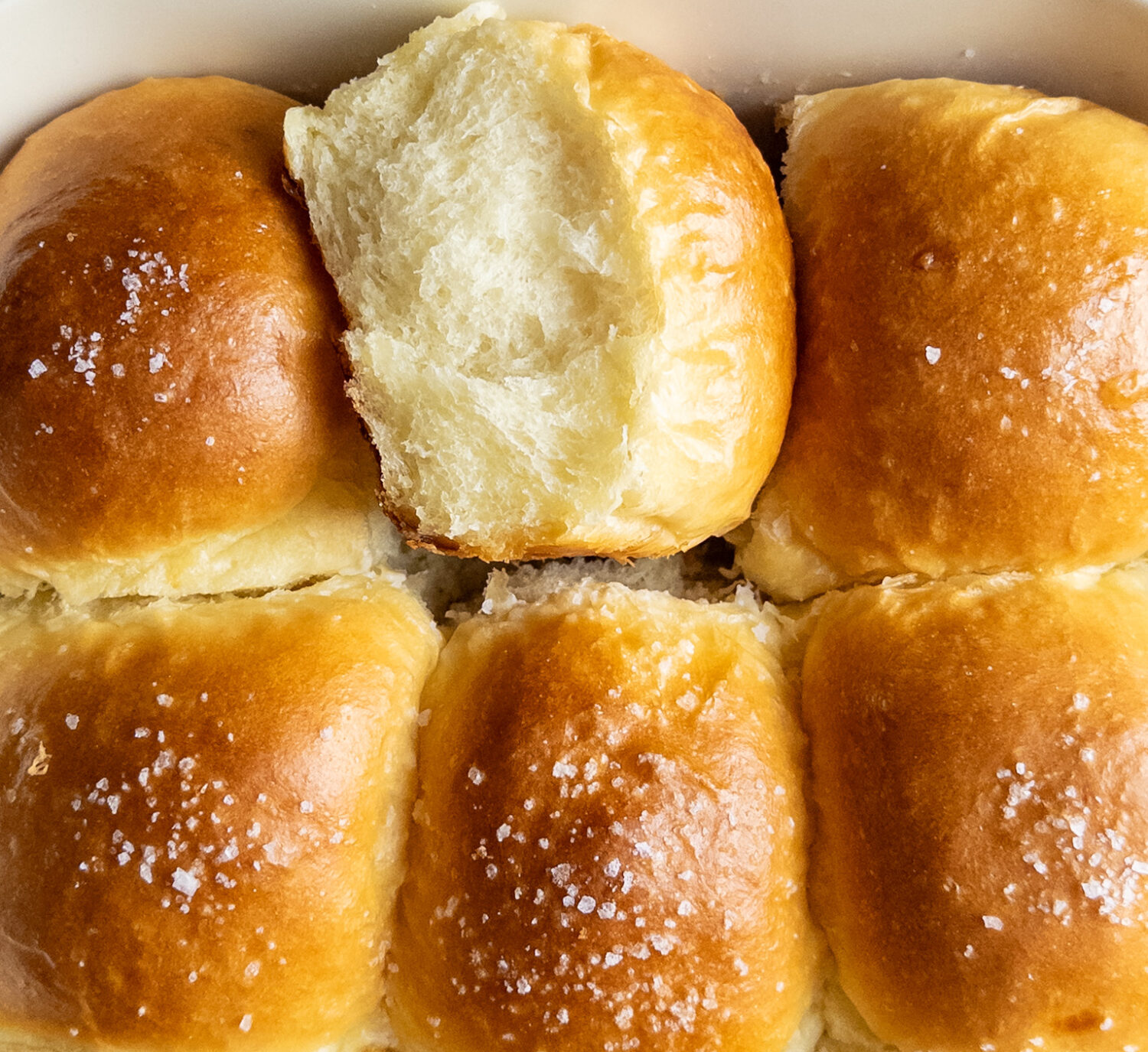 fluffy dinner rolls that are buttery and pillowy soft. topped with coarse sea salt.