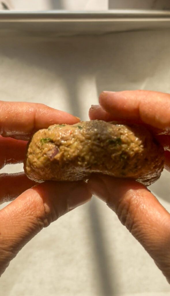 side view of shami kebab